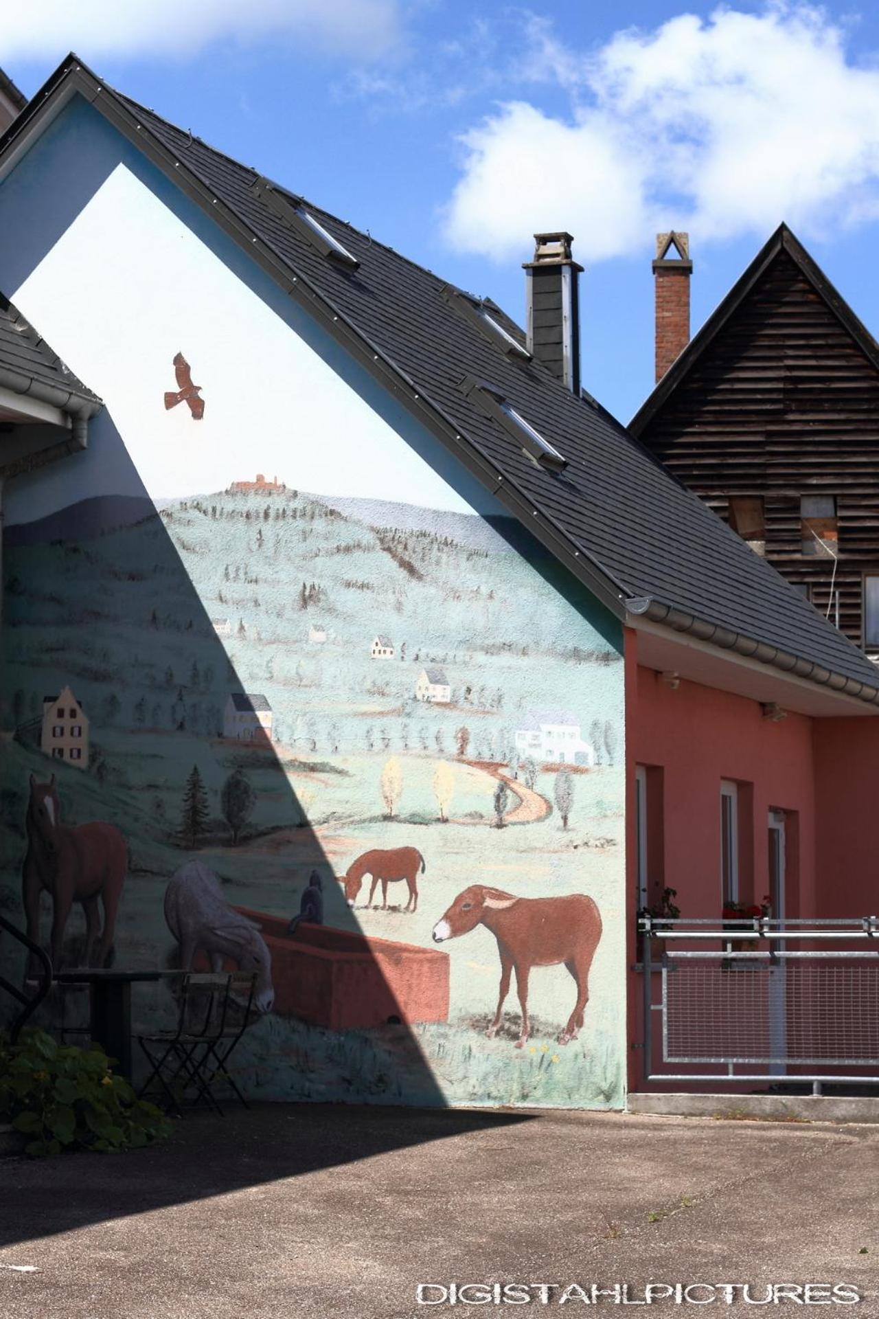 Gite A La Montagne Labaroche Exterior foto